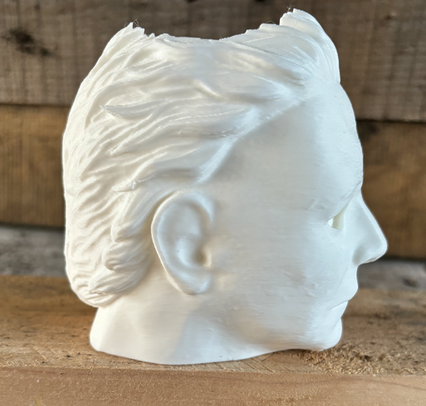 Michael Myers Head